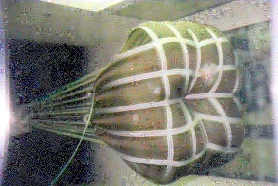 Parks Wind Tunnel
