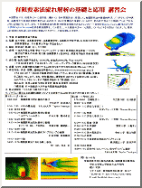 Japanese Journal
