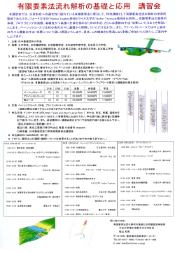 Japanese Finite Element Methods Lecture