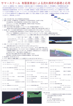 Japanese Finite Element Methods Lecture